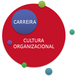 carreira-e-cultura-organizacional